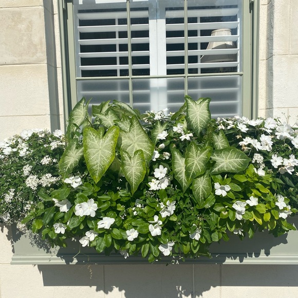 Welcome to The Pampered Boutique! - Picture 6 of 8